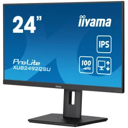iiyama ProLite XUB2492QSU-B1 computer monitor