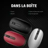 HP Souris Bluetooth argent vif 240
