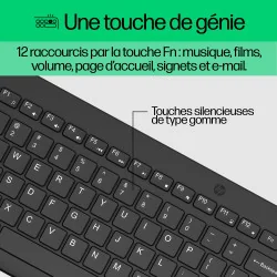 HP 300 Wireless Mouse and Combination keyboard