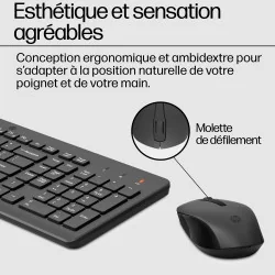 HP 300 Wireless Mouse and Combination keyboard