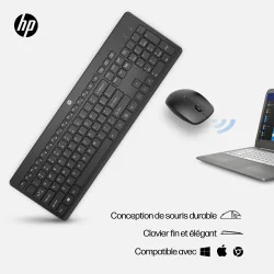 HP 230 Wireless Mouse and Combo keyboard