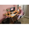 HP 230 Wireless Mouse and Combo keyboard