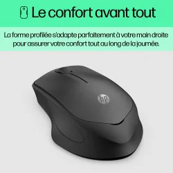 HP 280 Silent Black Wireless mouse