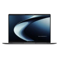 ASUS ExpertBook P3 P3605CVA-MB0017X