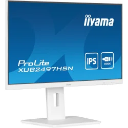 iiyama ProLite XUB2497HSN-W2 computer monitor